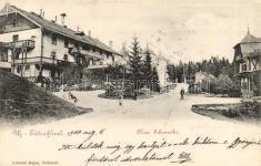 Trencsénteplicfürdő, Villa