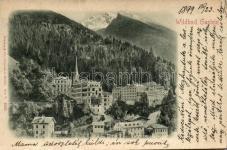 Bad Aussee with small altar