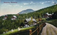Semmering, Hote l Erzherzog