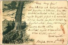 Birds, Turkey, litho 22746.