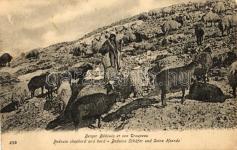 Esperanto' Paul Sch 22799.