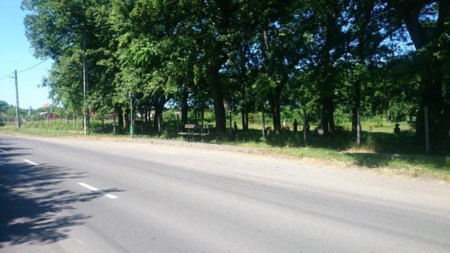 Megálló kódja: 34 Új temető meglévő megálló Megálló felszereltsége Oszlop, tábla: Peron: van van