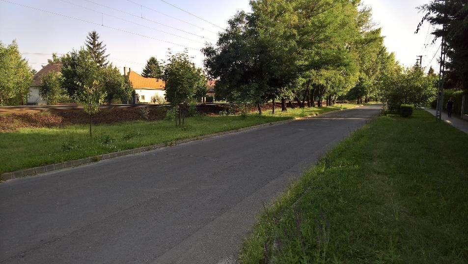 Megálló kódja: 51 Virágos utca új megálló Megálló felszereltsége Oszlop, tábla: Peron: nincs nincs Fekvő A3 