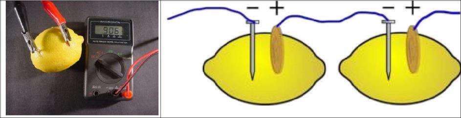 11.Elektromos áram folyadékokban Készítsen galvánelemet citrom, acélszög és rézdarab segítségével! Vizsgálja az elem működésének jellemzőit soros kapcsolás esetén, illetve fogyasztóra kapcsolva!