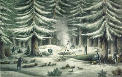Első természettudományos utazását 1801/03 között tette Matthew Flinders parancsnoksága alatt az Ausztráliát körülhajózó, s azt első ízben önálló kontinensként azonosító