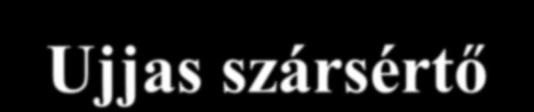 Szársértők Szársértő szerkezetek Kaszálással egymenetben alkalmazott szársértő szerkezetek a növény szárának megsértésével növelik a párolgási felületet, ezáltal a száradási idő 30-40 %-kal csökken.