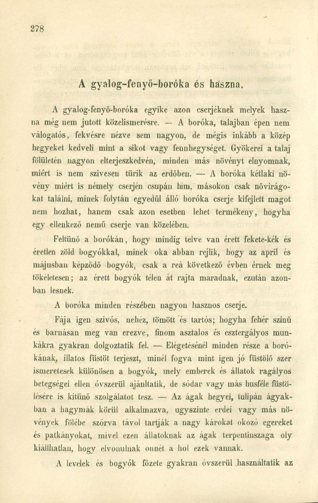 A gyalog-fenyő-boróka és haszna. A gyalog-fenyő-boróka egyike azon cserjéknek melyek haszna még nem jutott közelismerésre.