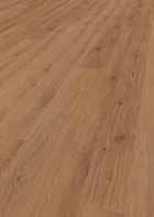 Sahara 