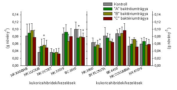 ábra: A Syngenta nemesítőházból származó kukorica hibridek gyökerének száraz tömege (g növény -1 ) n=9± S.D.