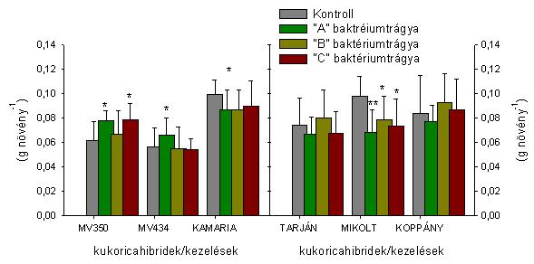 Szignifikáns különbség a kontrollhoz viszonyítva: *p<0,05; **p<0,01 A három baktériumtrágya hatását a Martonvásári nemesítőház hat hibridjén vizsgáltam.