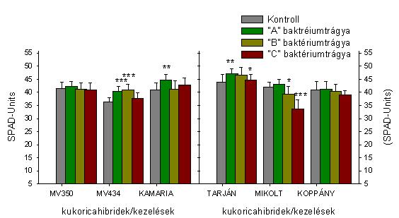 A Kamaria második és harmadik levelében az A kezelés hatására szignifikáns növekedés volt a második és a harmadik levelében, míg a B és C kezelések hatására csak a harmadik levelében szignifikáns a