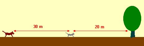 6. Egy acska 0 éterre áll egy fától, aikor egy kutya észreveszi. A kutya 30 éterrel távolabb van a fától, int a acsek. A kutya, a acska, és a fa egy egyenesbe esnek.