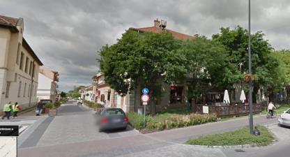 0,2 ha) közkert növényállománya jó (idős juharok, nyárfák, nyugati ostorfák, akácok), de a felszereltsége (padok, lámpák) nem megfelelő.