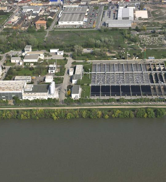 Újpest már kialakulása óta a főváros északi részének egyik fontos ellátó területe. A XIX.