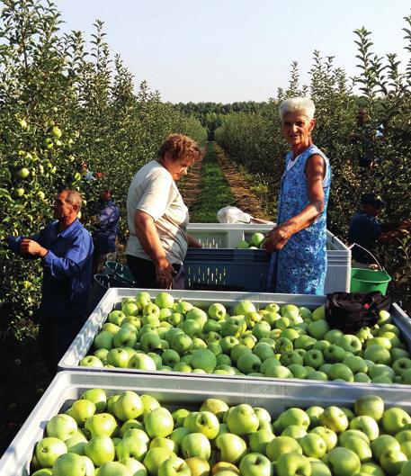 Meglátása szerint mindenképpen szükség lenne a hazai biotermesztés kiterjesztésére, mert egyértelműen emelkedik a biosűrítmény iránti kereslet, s más termékekből is nő az igény.