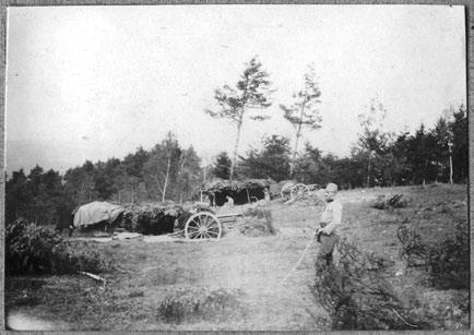 KÉPMELLÉKLET Az 1.