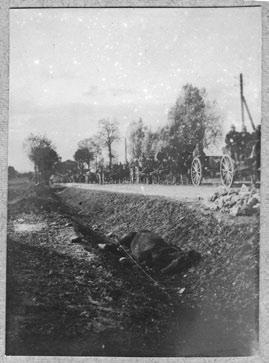 Veszprémi Szemle könyvek 11 Hű