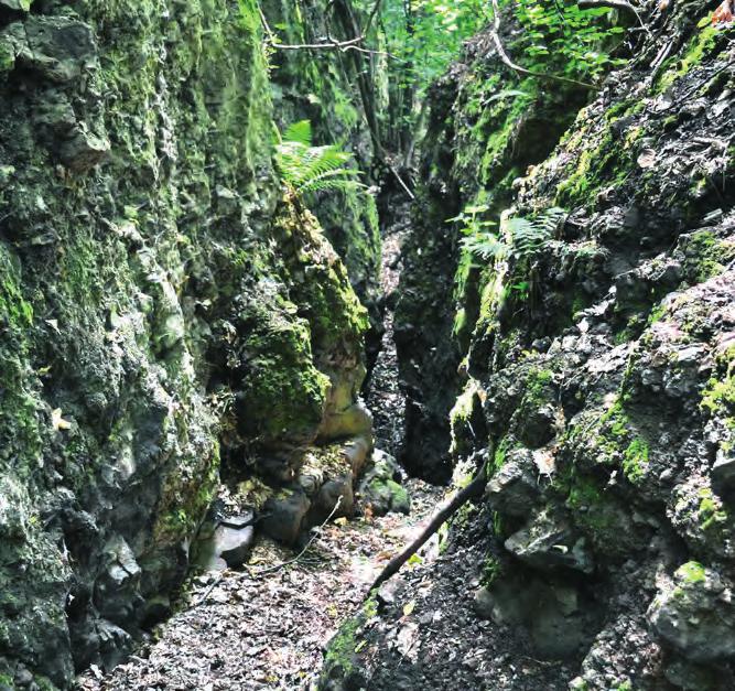 HAZAI TÁJAKON METEOROLÓGIA Trükkös Trixie Mit keres egy trópusi vihar a Földközi-tengeren?