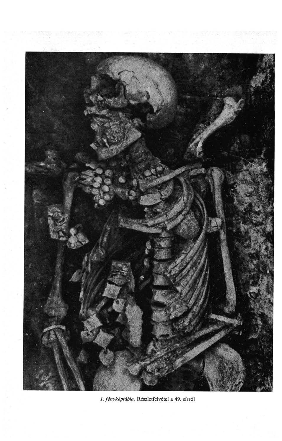 1. fényképtábla.