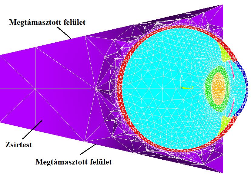 komplex modellemben többnyire háromszög és tetraéder elemeket hoztam létre (23. ábra). Mivel a 2.