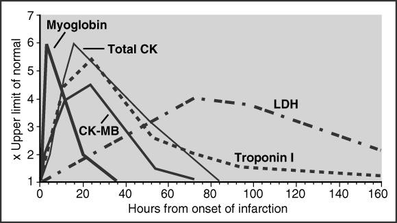 Diagnózis NG 239 ECHOCARDIOGRAPHIA Falmozgás anomáliák és bal kamra functio megítélése (EF) RADIOIZOTÓP VIZSGÁLATOK Thallium 201 - Perfusios defectus ("cold spots")