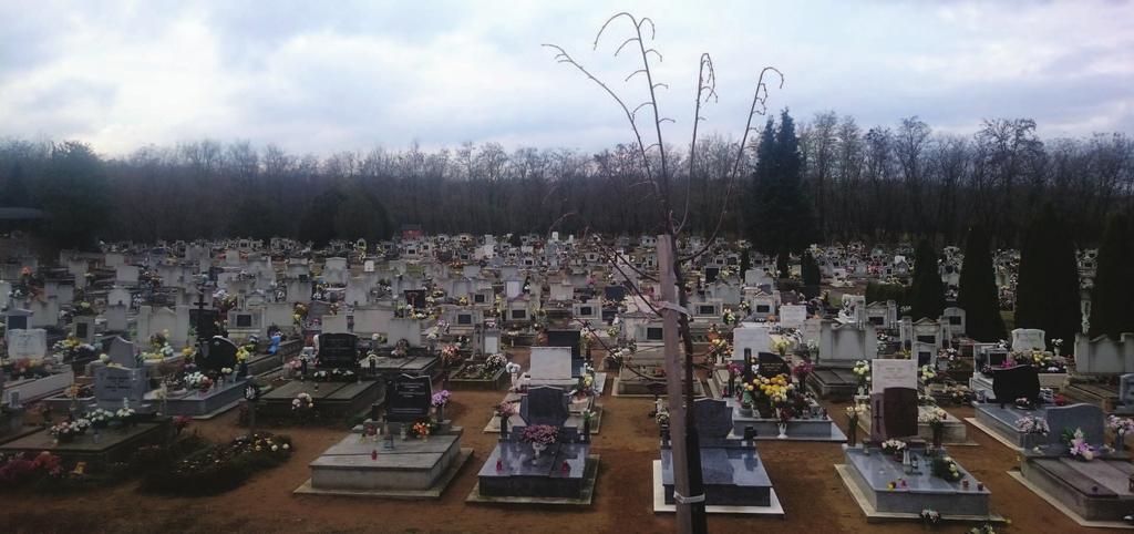 Építészeti útmutató 53 KÖZTEREK, KÖZPARKOK, KÖZKERTEK A település azon találkozási pontjai ahol a természethez kapcsolódva, szabadban élhetjük meg a helyi közösséghez való hovatartozásunkat, a