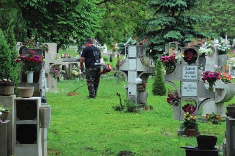 A szövetség már megalakulása után pár hónappal aktívan mutatkozott be a szakmai társszervezetek felé.