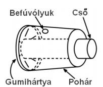 KÍSÉRLETEK