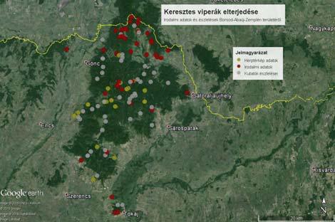 Terepi adatgyűjtés, állományok felmérése Tavaszi és őszi időszakban mind a négy mintavételi területre rendszeres