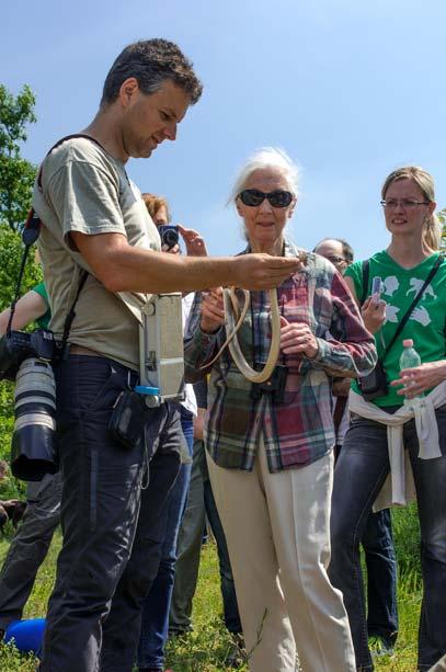 aktivistái. Ők irányították rá a Magyarországra látogató neves főemlőskutató és természetvédő figyelmét a programra. Jane Goodall 2016.