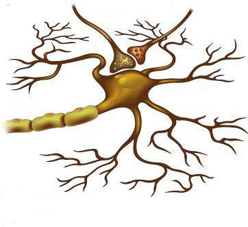 neuronon