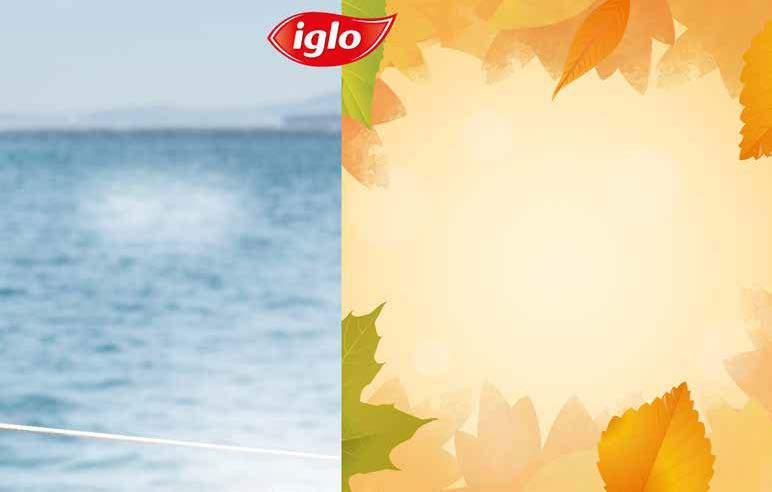 MIRELIT IGLO