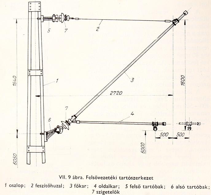 Tipikus