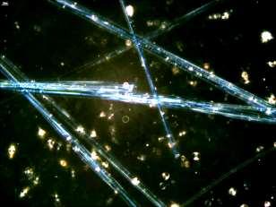 mikroszkópos felvételek Krokidolit (kék azbeszt)
