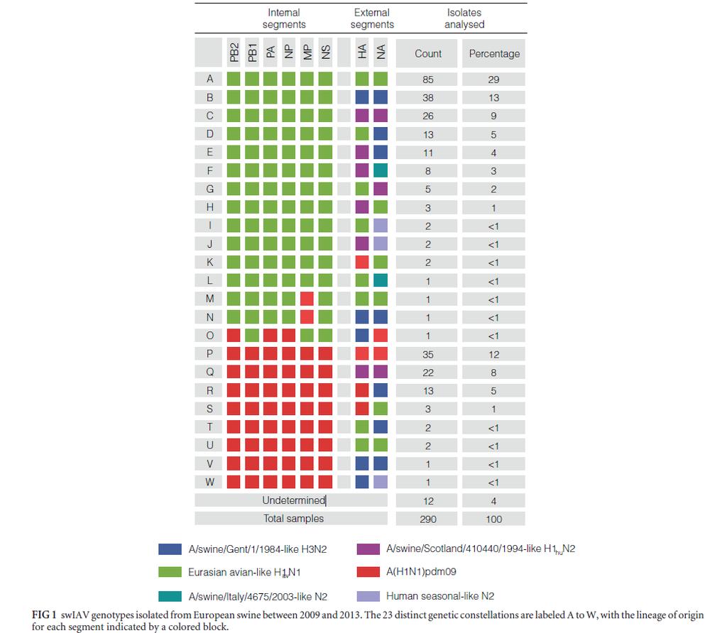 Sertésinfluenza vírus Monitoring Európában ESNIP 3 néhány eredmény a cikkből Molecular Epidemiology and Evolution of Influenza Viruses