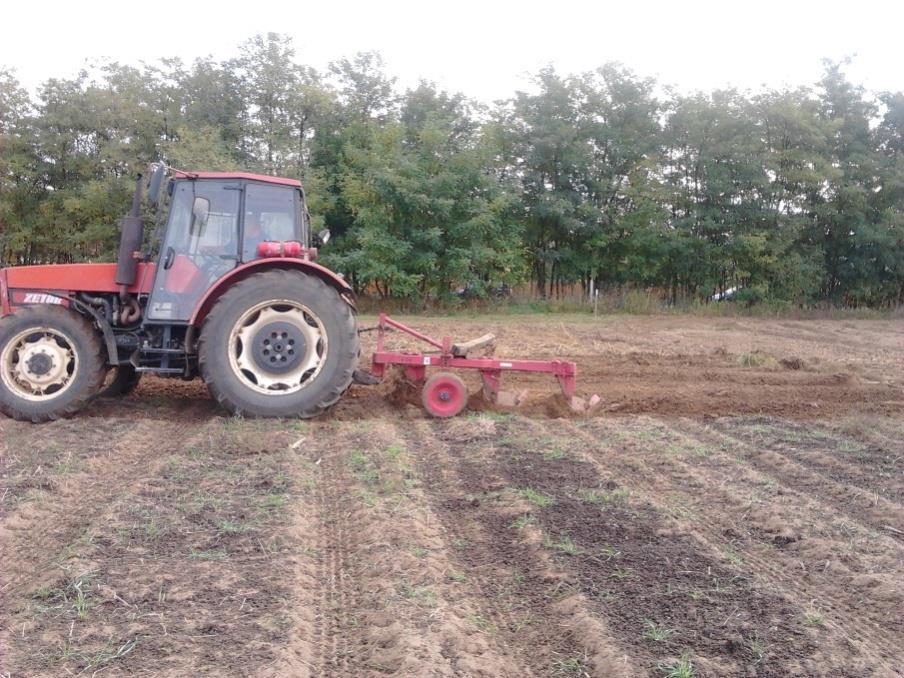 Szerves és szervetlen kolloid dúsítás Homoktalajokon alkalmazott eljárás,