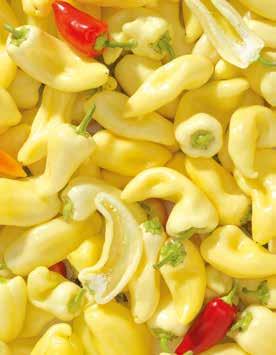 MAGYAR TERMÉK 1 kg/csomag /kg -27% 399 Ft 2 LECSÓPAPRIKA 299Ft Akciós termékeink már az