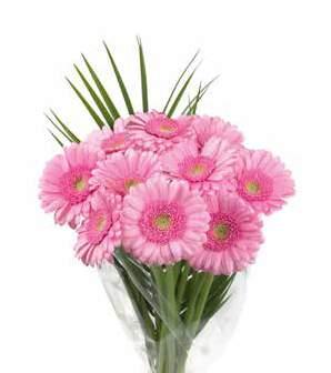 / SZÁL RÓZSA-/ GERBERA- CSOKOR 13 szál rózsa / 9 szál gerbera