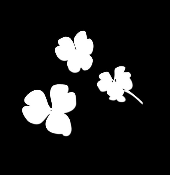 08. 13.