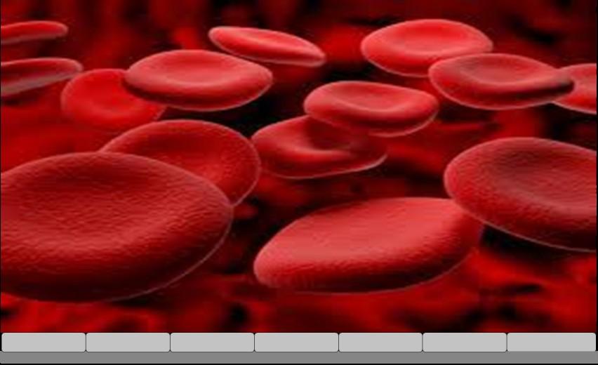 Haemostasis Élettani körülmények között: Biztosítja a vér folyékony halmazállapotát Spontán vérzéseket megelőz Élettani kórélettan: (érfal