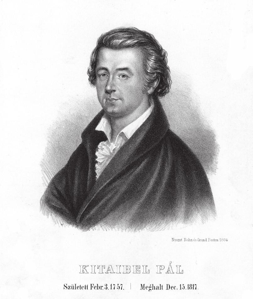 III. Hálózatok 1785-ben a Göttingeni Tudós Társaság levelező tagja. Cornides wurde 1785 korrespondierendes Mitglied der Gelehrtengesellschaft zu Göttingen. Futaky Schwamm 1987, 183.