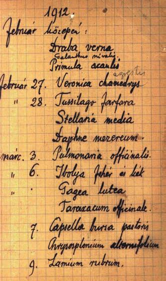 verzóján (fotó: Galambos István)