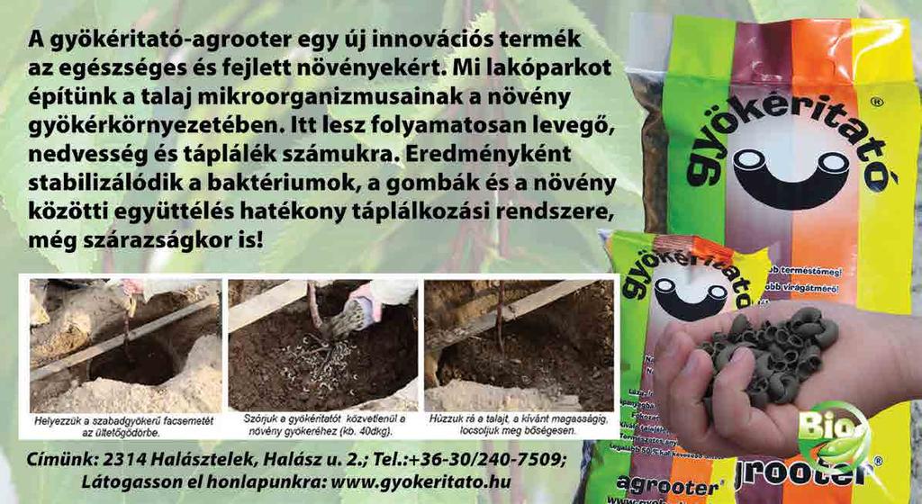 ügyvezetője ismertette, hogy a szántóföldi növénytermesztés mellett mintegy 110 hektáron foglalkozik almatermesztéssel.