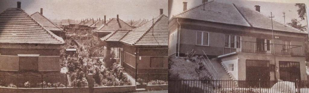 és környéke (Szentmiklósi út, Hollandi út) valódi kertváros hangulatát kezdi mutatni a hatvanas évek közepétől. 23. kép. A Királyerdő családi házai a hatvanas évek közepén Forrás: Csepel A XXI.