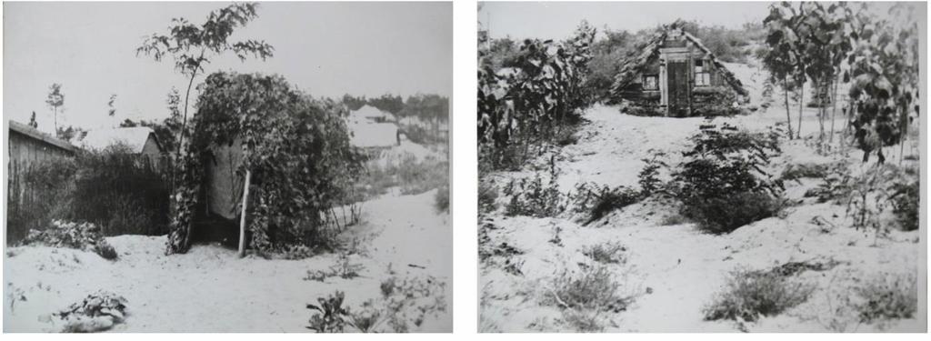 10. kép: A Királyerdő-projekt nyomorúsága 1939-1940 Forrás: Bérci László