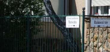 domináns örökségi elem.