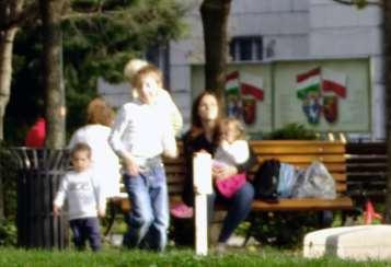ZÖLDFELÜLETEK, VÁROSI