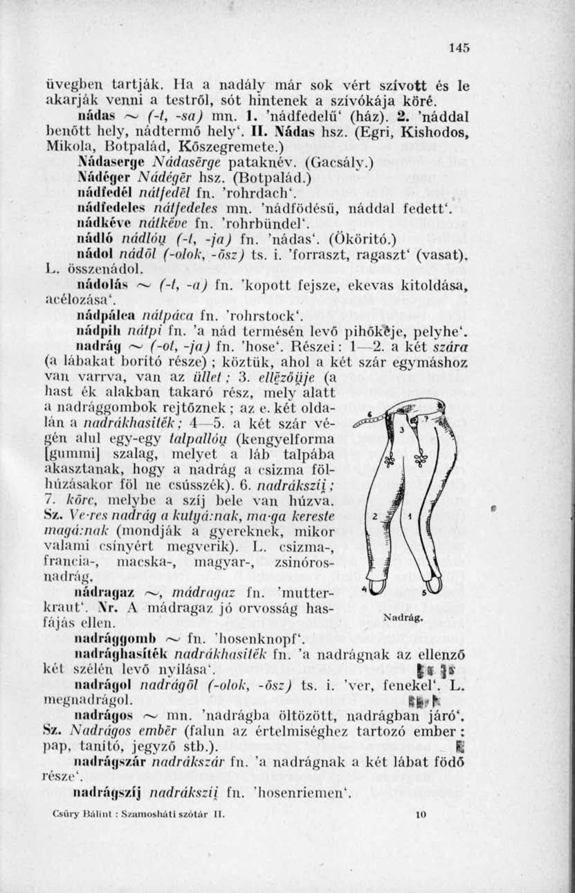 145 üvegben tartják. Ha a nadály már sok vért szívott és le akarják venni a testről, sót hintenek a szívókája köré. nádas ~ (-1, -sa) mn. 1. 'nádfedelű' (ház). 2. 'náddal benőtt hely, nádtermö hely'.