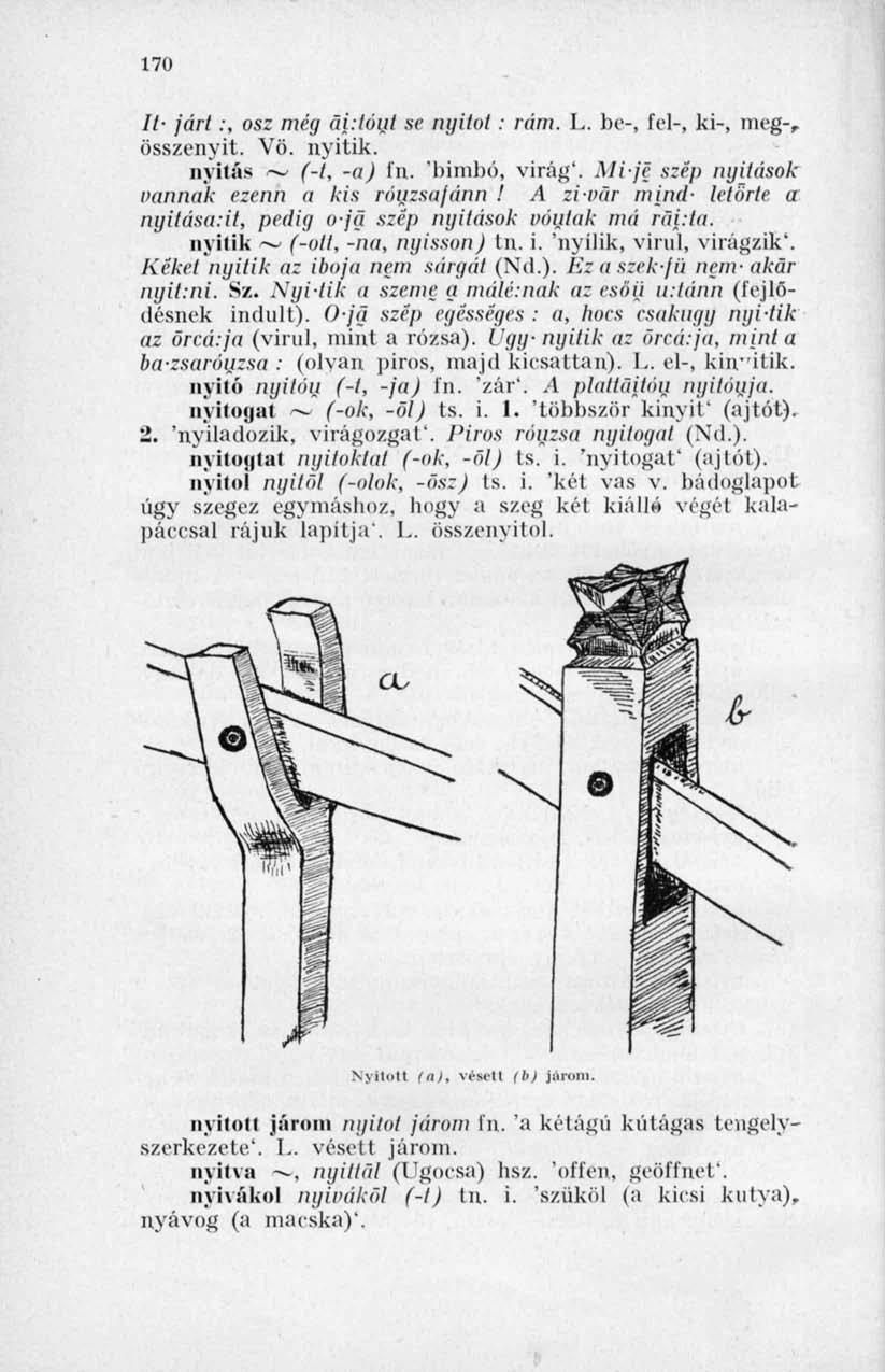 170 // járt :, osz még ái:tóut se nyitót: rám. L. be-, fel-, ki-, meg-, összenyit. Vö. nyitik. nyitás ~ (-t, -a) fn. 'bimbó, virág'. Mije szép nyitások oannak ezenn a kis ráuzsajánn!