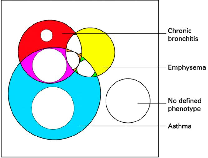 Klasszikus COPD-fenotípusok (Wellington Respiratory